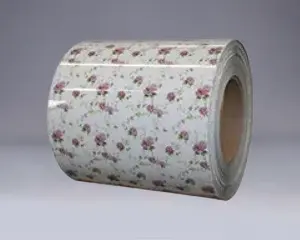 DX51D DX52D DX53D PPGI PPGL Стальная катушка
